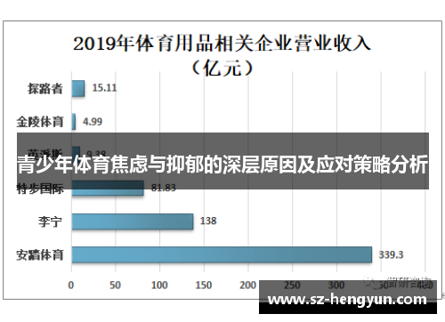 青少年体育焦虑与抑郁的深层原因及应对策略分析